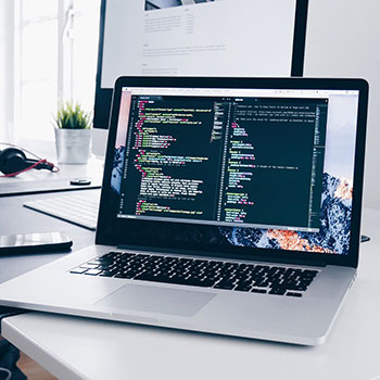 开云网站-广东宏远连续夺冠纪录备受关注，广东宏远队总冠军领奖画面