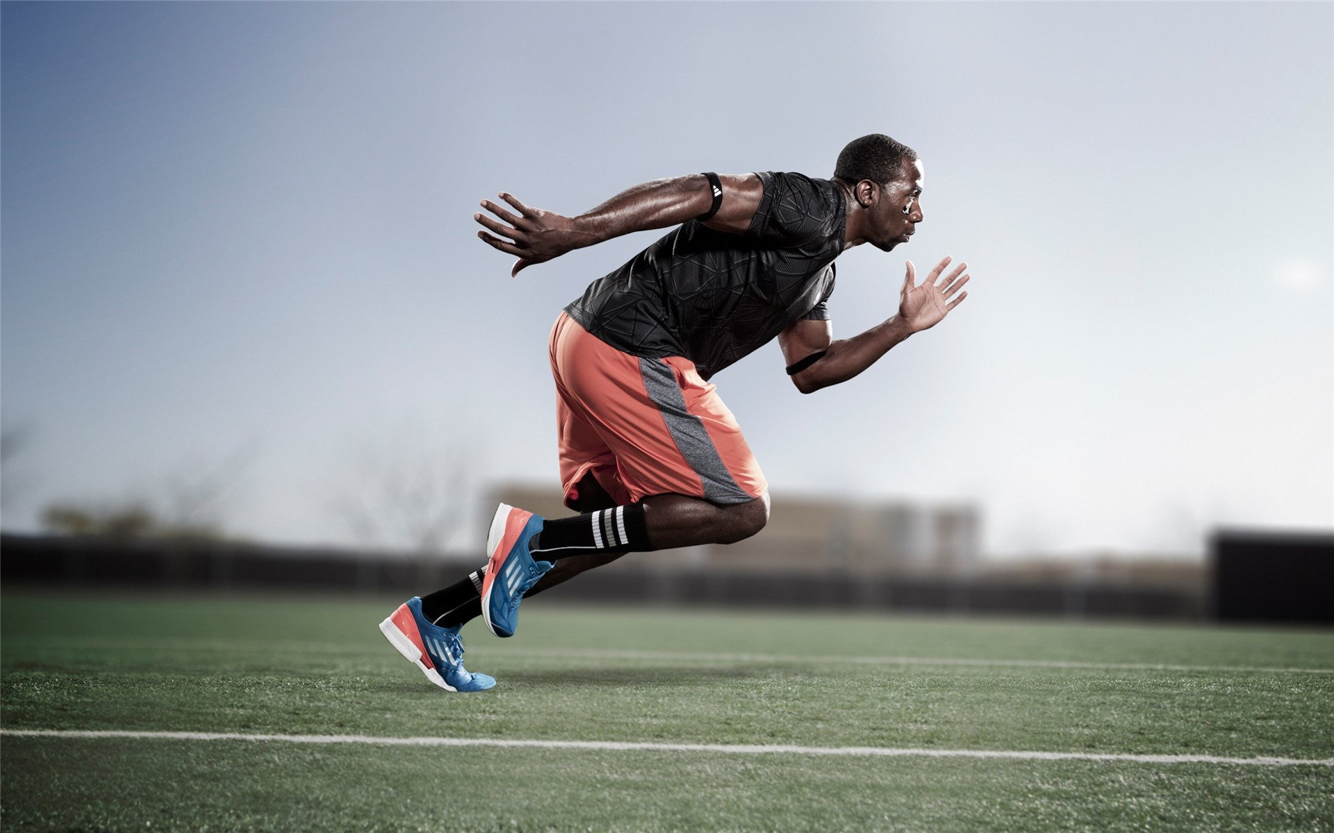 德国马术协会与大学合作，开展马术运动营养研究，优化饮食方案。